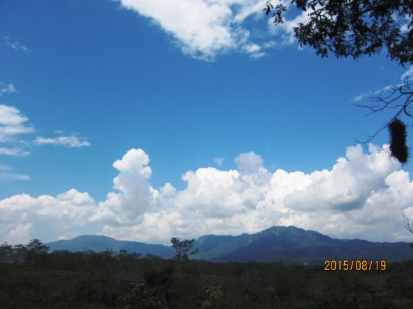 Viaje, Perú, Loreto, Pampa Hermosa