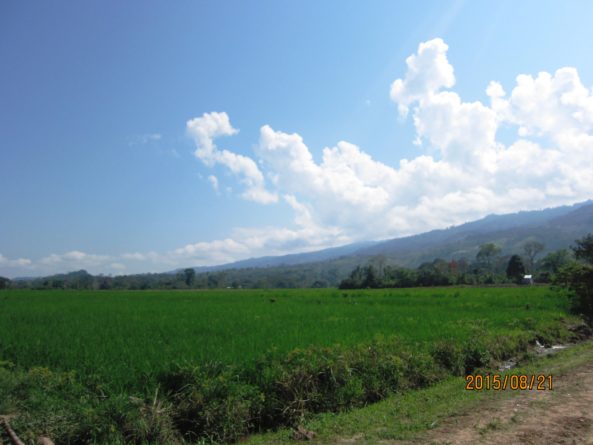 Viaje, Perú, Moyobamba, San Martin