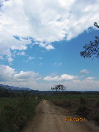 Viaje, Perú, Moyobamba, San Martin