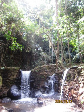Viaje, Perú, Moyobamba, San Martin