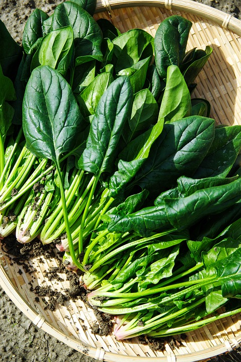 espinaca