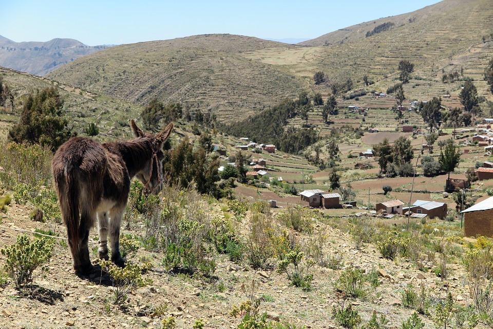 Viaje, Bolivia, Santa Cruz, Sudamérica