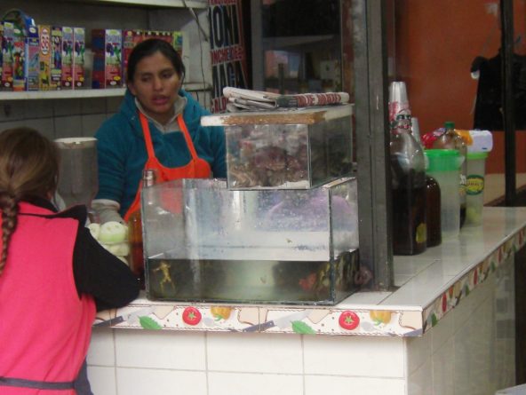 Viaje, Perú, Lima, Sudamérica
