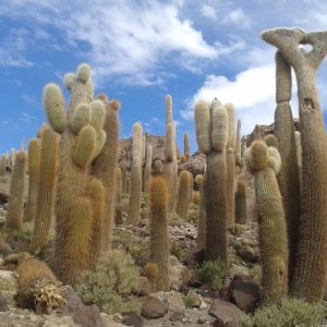 Viaje, Bolivia, Turismo, Sudamérica