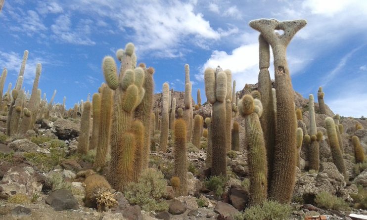 Viaje, Bolivia, Turismo, Sudamérica