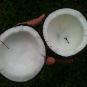 aceite de coco, belleza, piel, boca