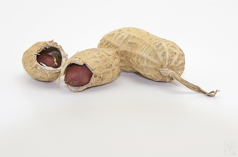cacahuetes, maní, hermosa piel, dieta, prevenir cáncer