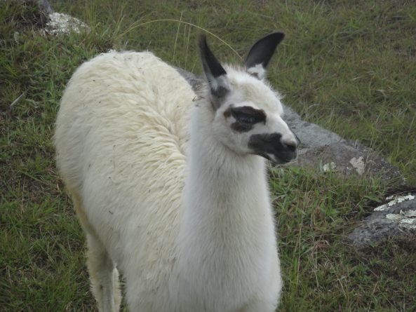 Viaje, Perú, Turismo, Sudamérica