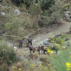 Viaje, Perú, Turismo, Sudamérica