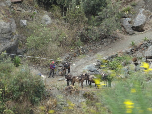 Viaje, Perú, Turismo, Sudamérica
