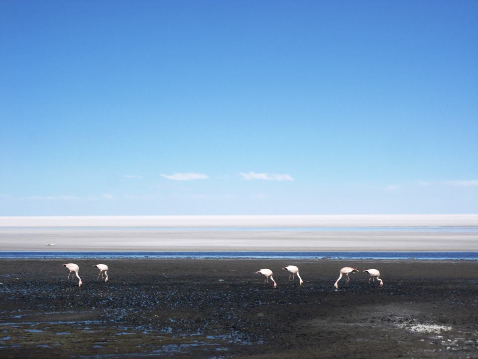 Viaje, Bolivia, Turismo, Sudamérica
