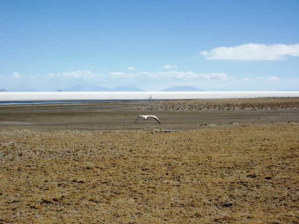 Viaje, Bolivia, Turismo, Sudamérica