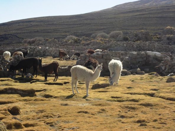 Viaje, Bolivia, Turismo, Sudamérica
