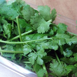 cilantro, efecto, desintoxicación,