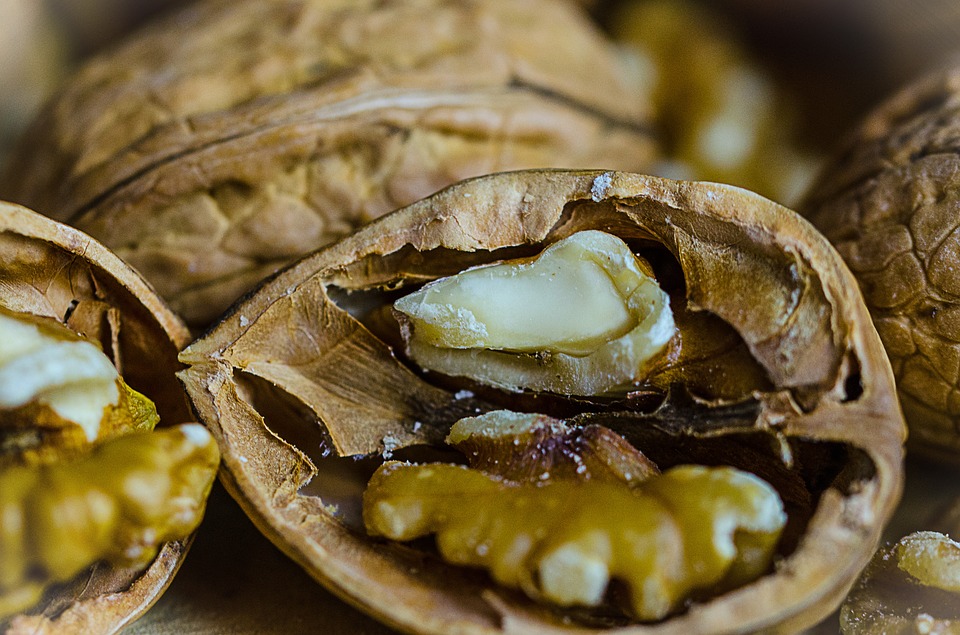 nuez, mejor, dieta, prevención