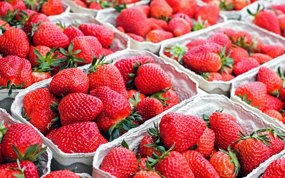 fresa, efecto, ácido fólico, Vitamina C