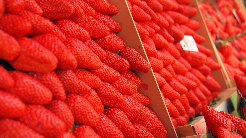 fresas