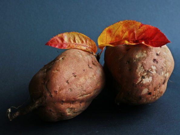 camote