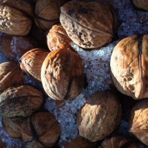 nuez, dieta, salud, metabólico
