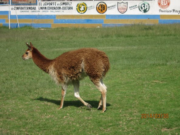 Viaje, Perú, Turismo, Sudamérica