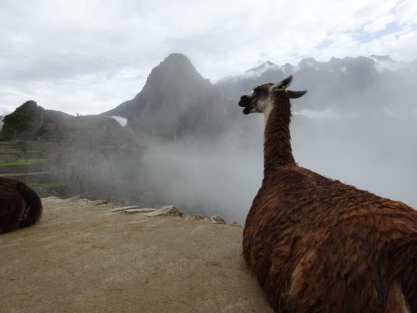 Viaje, Perú, Turismo, Sudamérica