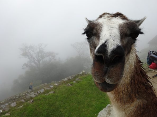 Viaje, Perú, Turismo, Sudamérica