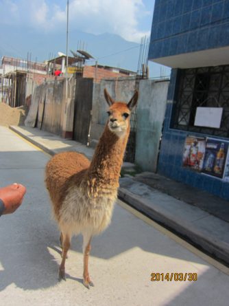 Viaje, Perú, Turismo, Sudamérica