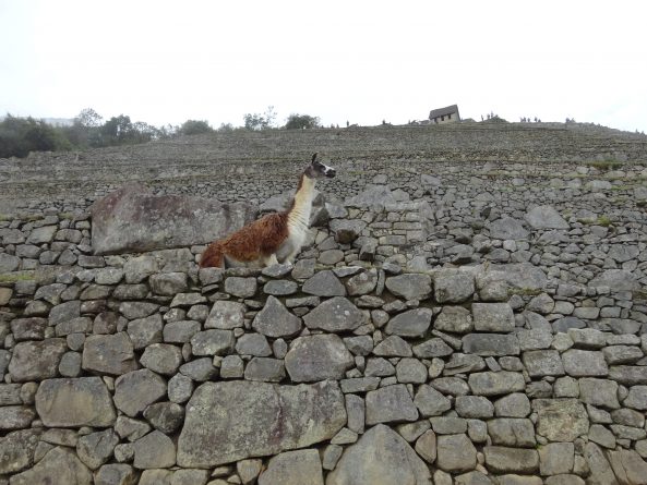 Viaje, Perú, Turismo, Sudamérica