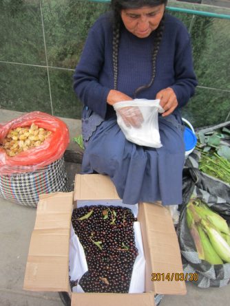 Viaje, Perú, Turismo, Sudamérica