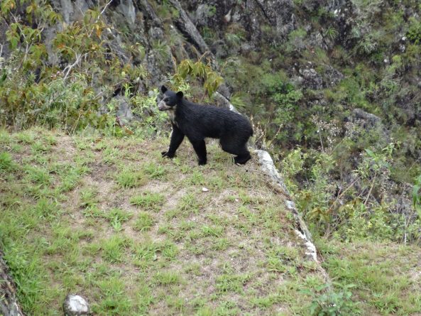 Viaje, Perú, Turismo, Sudamérica