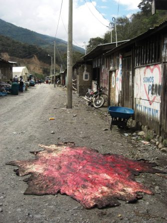 Viaje, Perú, Turismo, Sudamérica