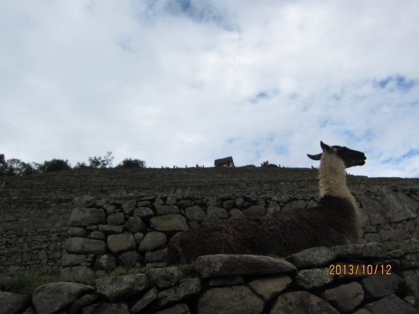 Viaje, Perú, Turismo, Sudamérica