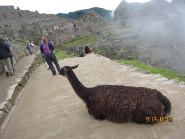 Viaje, Perú, Turismo, Sudamérica