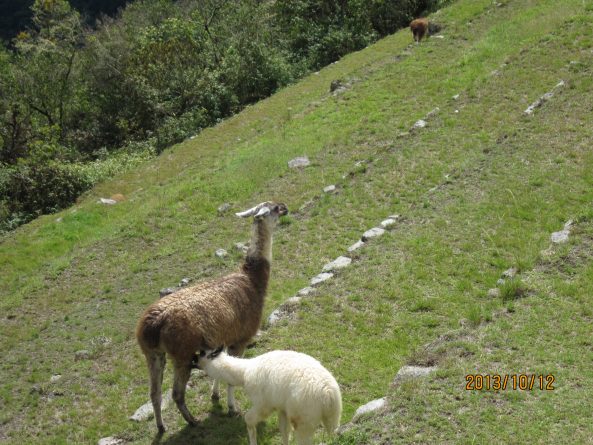 Viaje, Perú, Turismo, Sudamérica