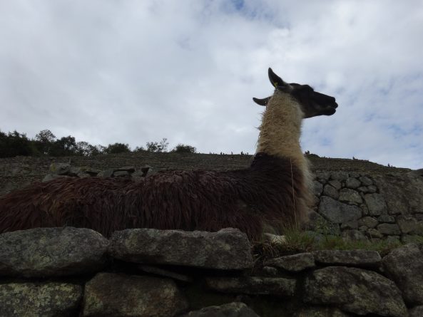 Viaje, Perú, Turismo, Sudamérica