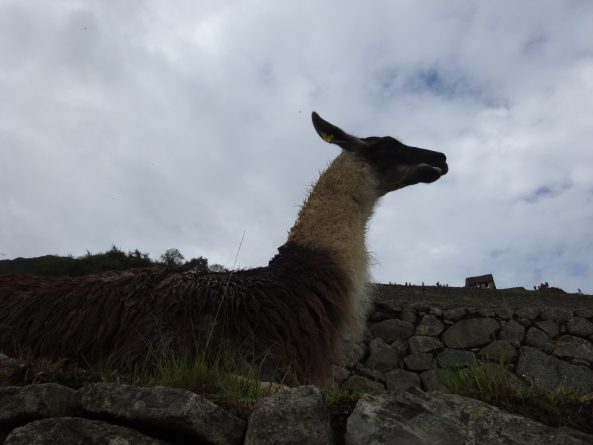 Viaje, Perú, Turismo, Sudamérica
