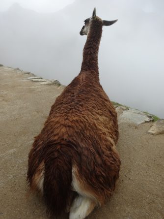 Viaje, Perú, Turismo, Sudamérica