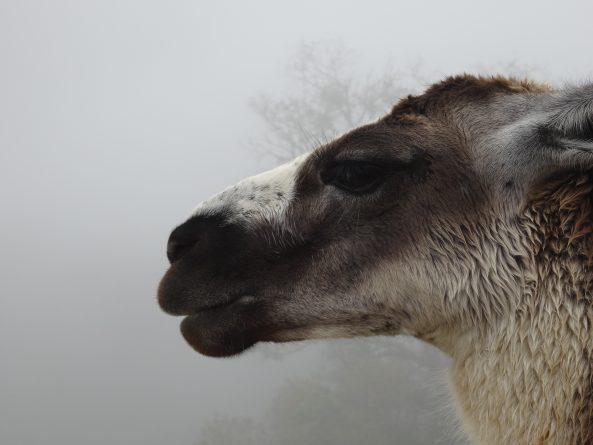 Viaje, Perú, Turismo, Sudamérica