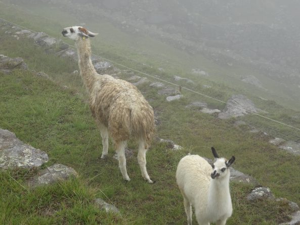 Viaje, Perú, Turismo, Sudamérica