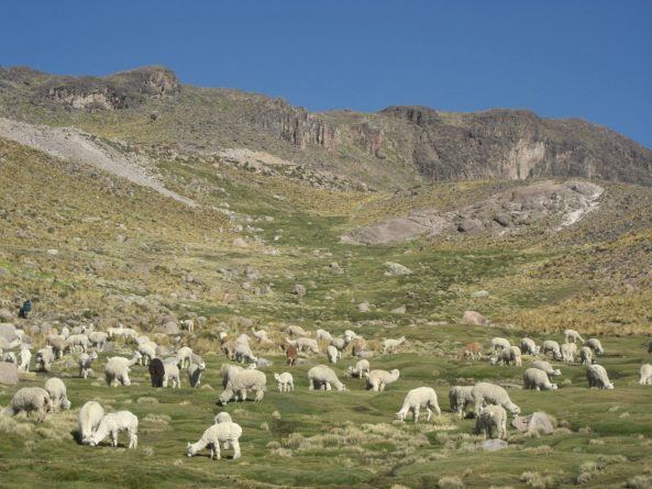Viaje, Perú, Turismo, Sudamérica