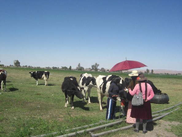 Viaje, Perú, Turismo, Sudamérica
