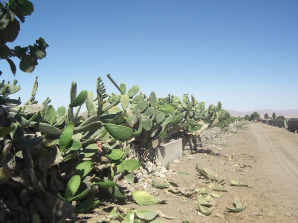 Viaje, Perú, Turismo, Sudamérica