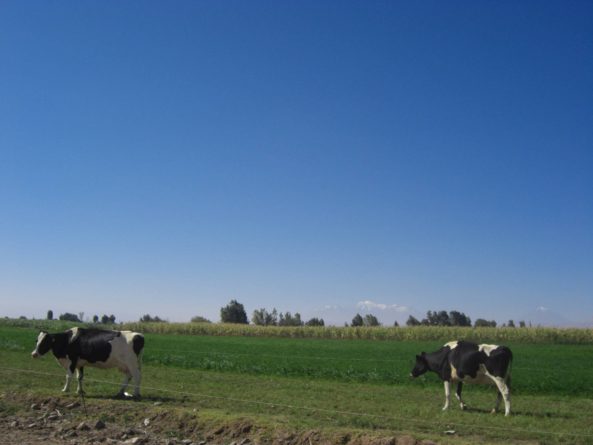 Viaje, Perú, Turismo, Sudamérica