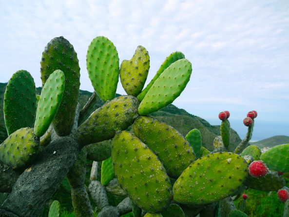Viaje, Perú, Turismo, Sudamérica