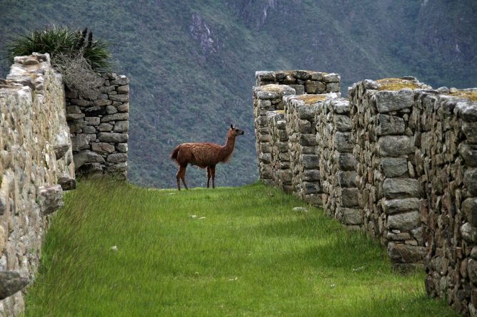 Viaje, Perú, Turismo, Sudamérica