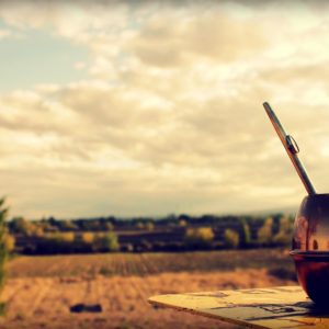 hierba mate, efecto, antioxidante, antiobesidad
