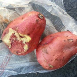 camote, batata, dieta, prevención, envejecimiento