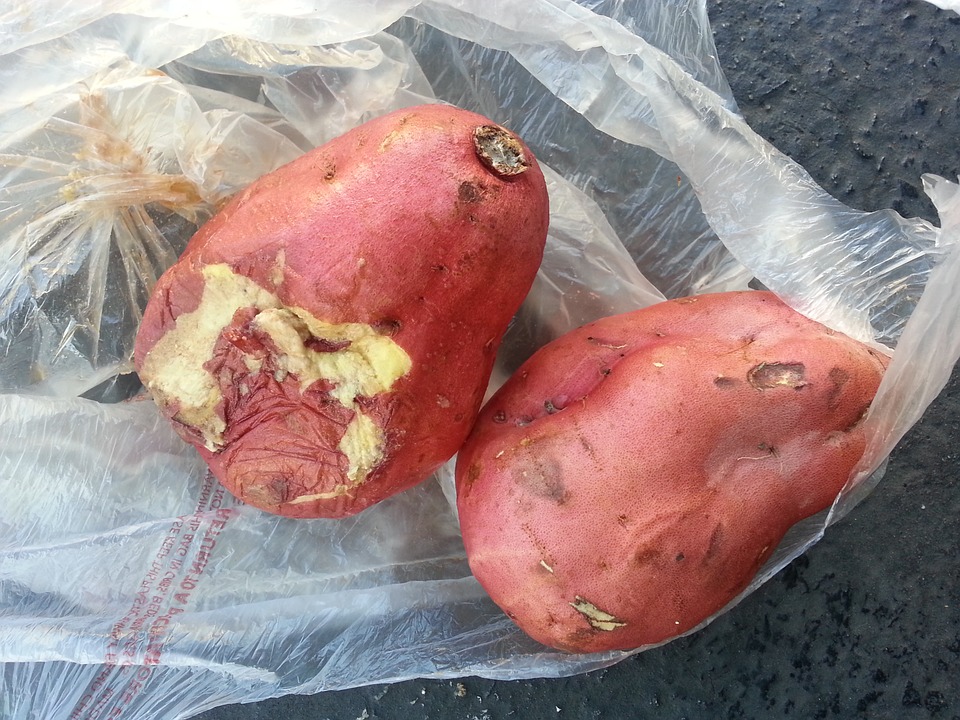 camote, batata, dieta, prevención, envejecimiento
