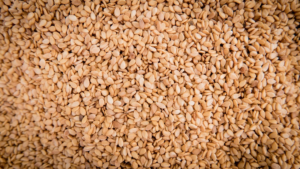 ajonjolí (sésamo)