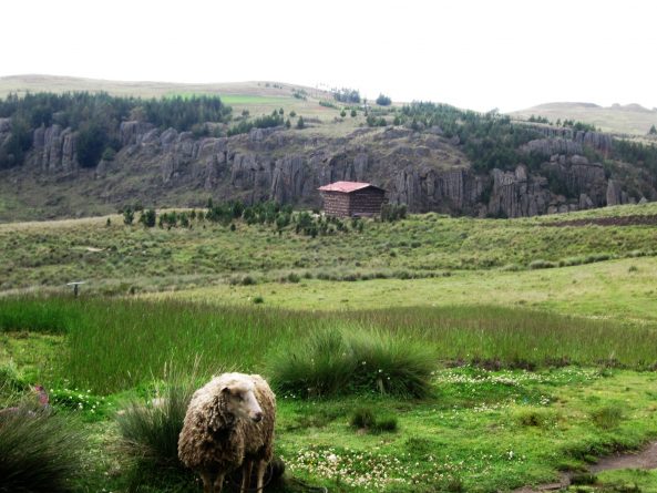 Viaje, Perú, Turismo, Sudamérica